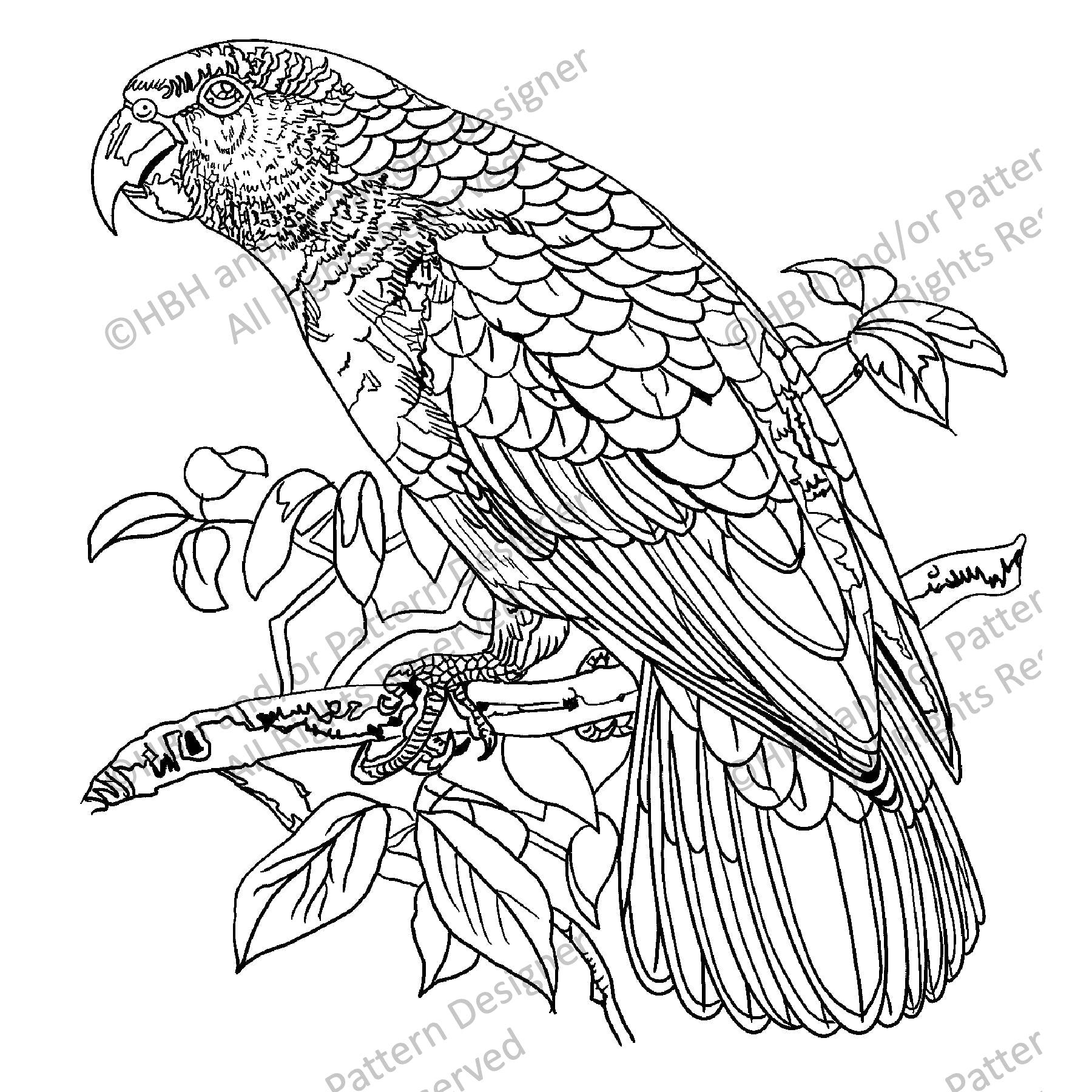 Festive Amazon Parrot, rug hooking pattern