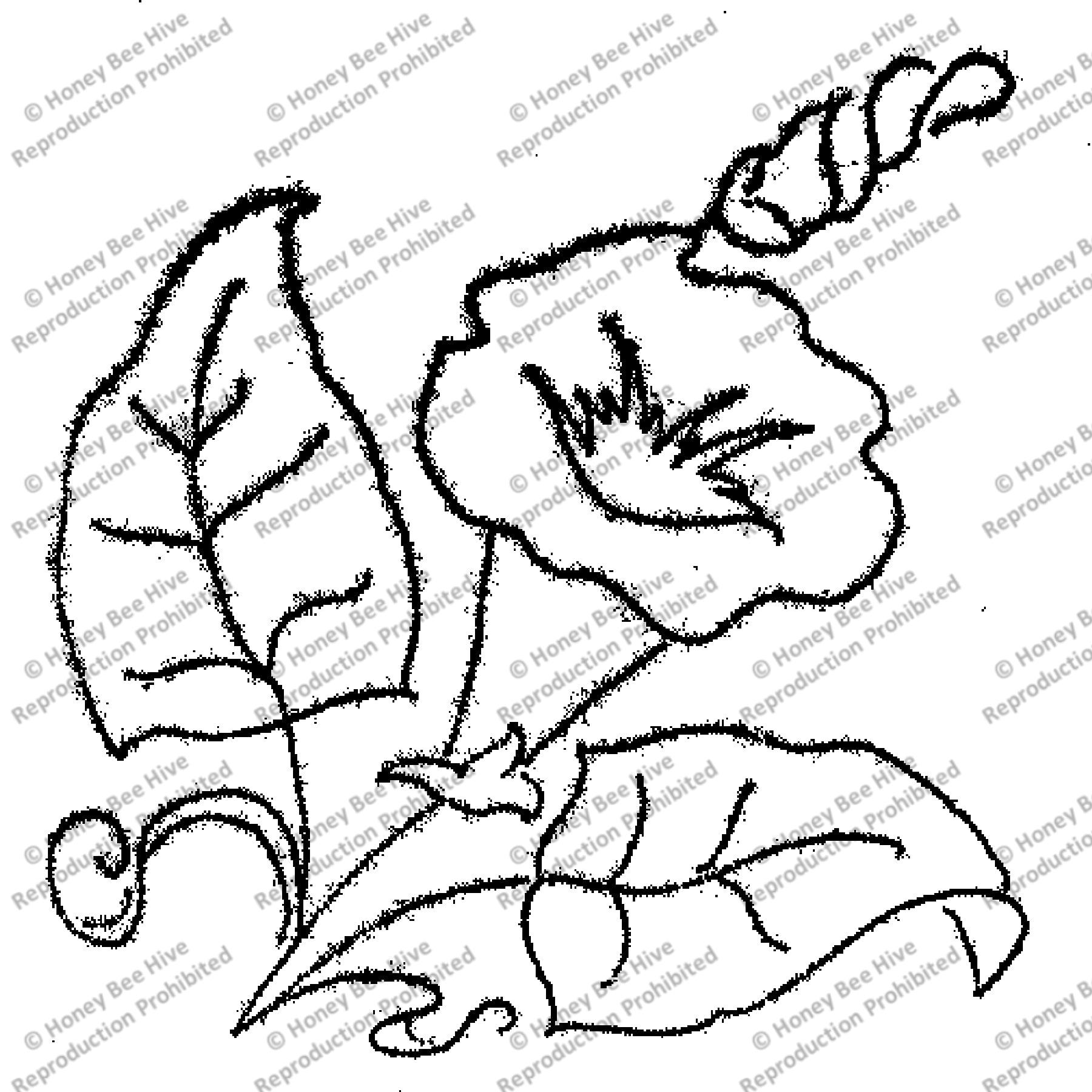 Morning Glory, rug hooking pattern