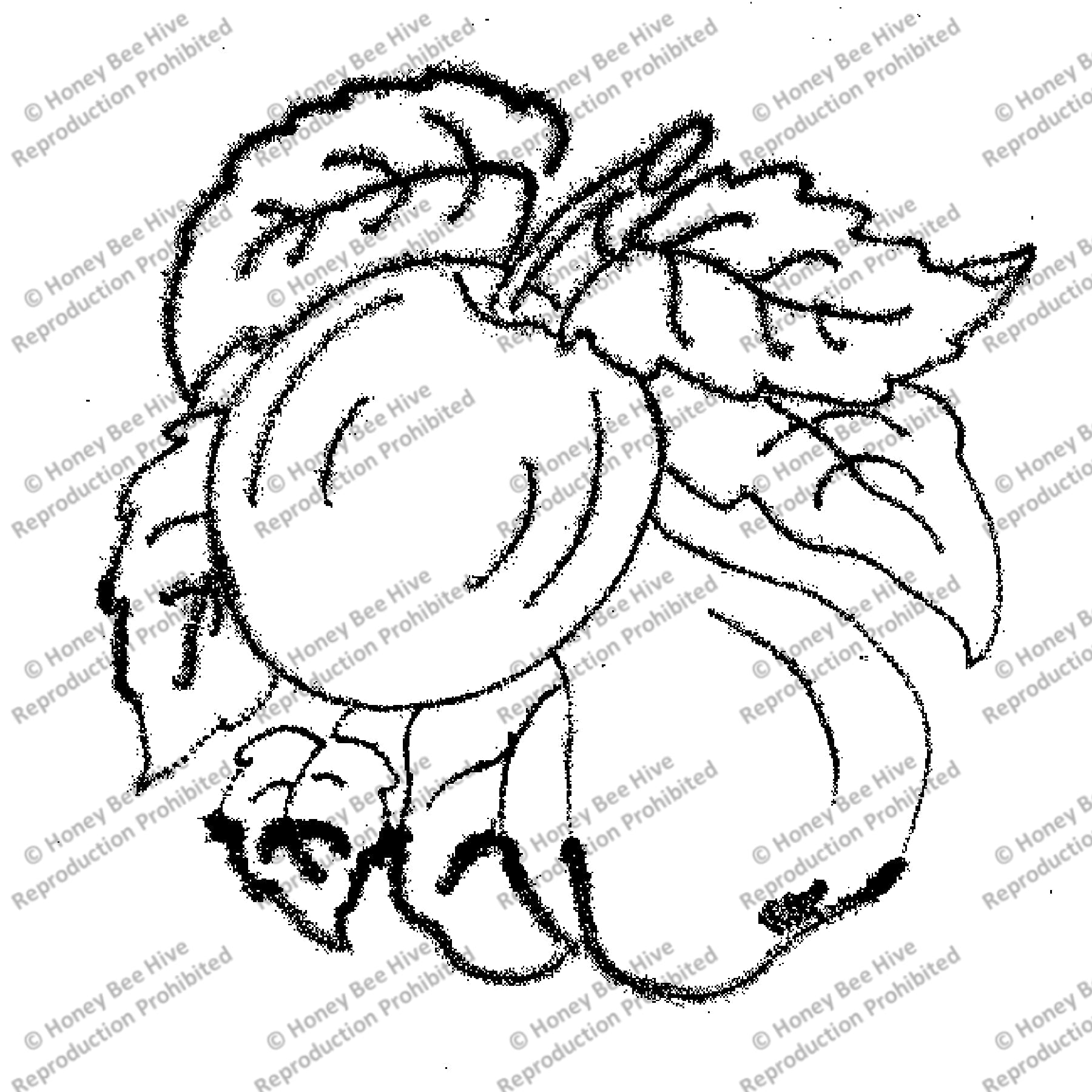 Apple and Pear, rug hooking pattern