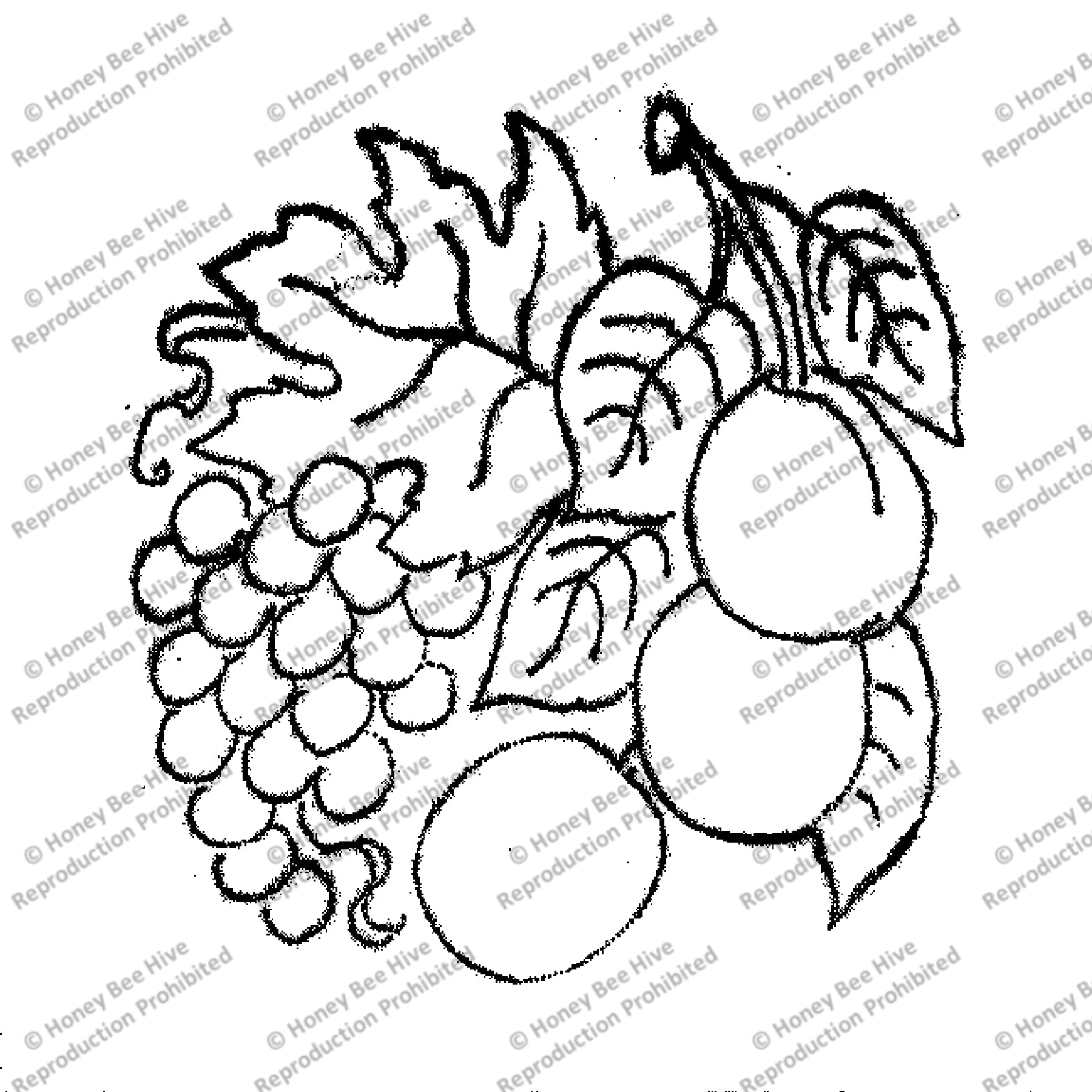 Apricot and Grapes, rug hooking pattern