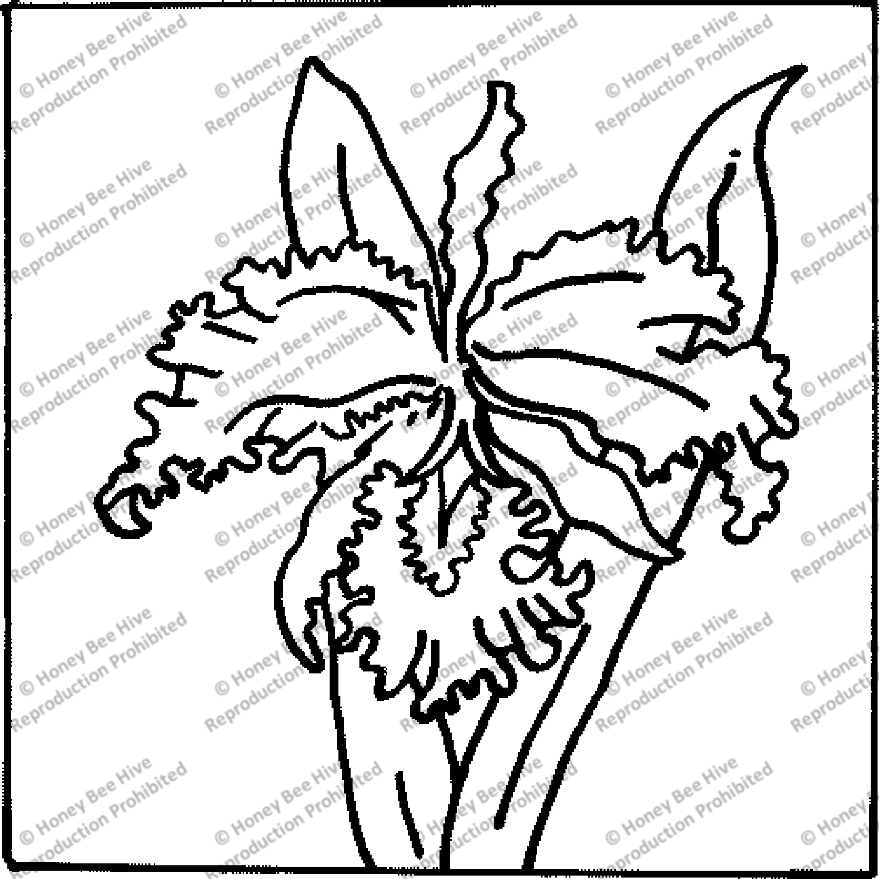 Orchid, rug hooking pattern