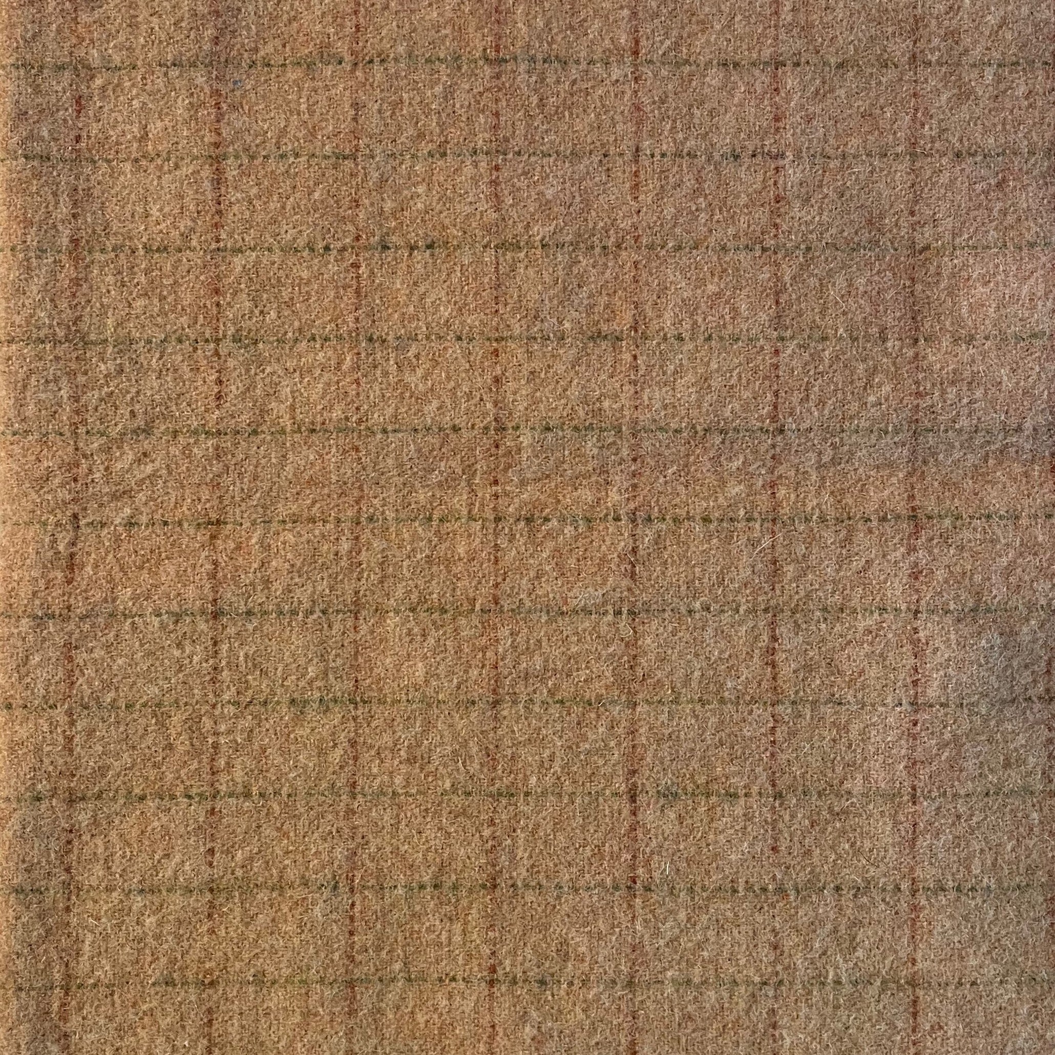 Tan with Green and Red Lines (WS1038)