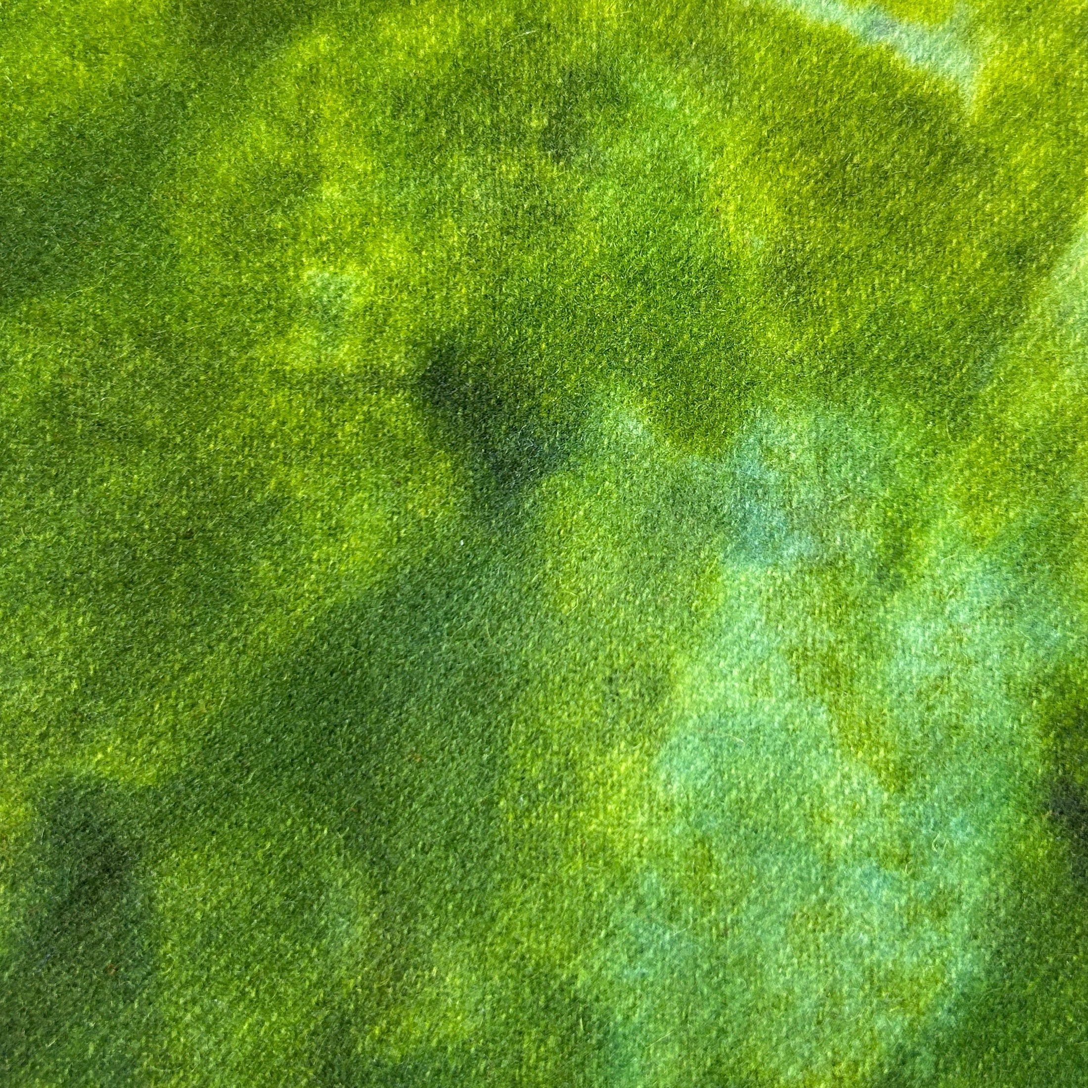 Canopy Spot  - cdb Studios Hand Dyed Wool for Rug Hooking 