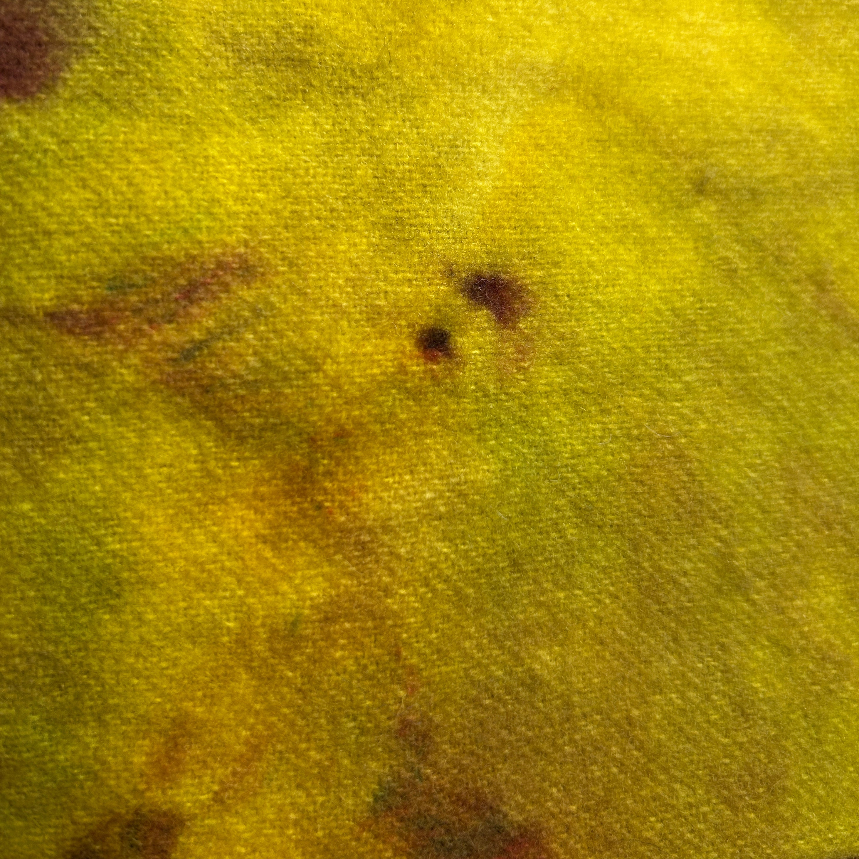 Cat's Eye Spot - cdb Studios Hand Dyed Wool for Rug Hooking 