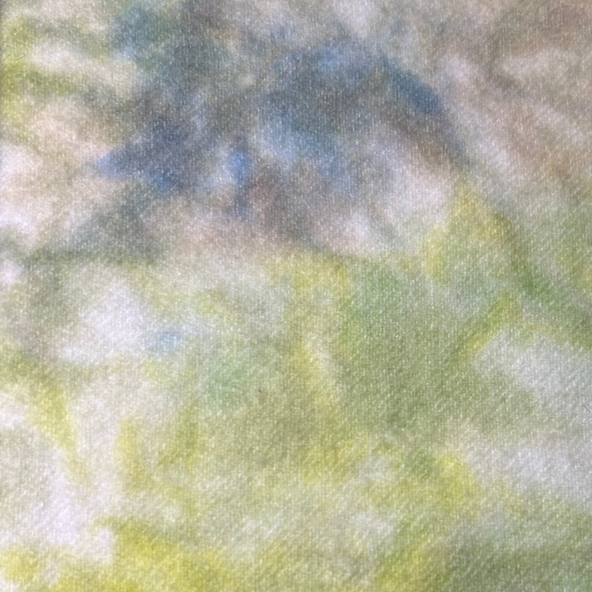 Winnie Spot - cdb Studios Hand Dyed Wool for Rug Hooking 