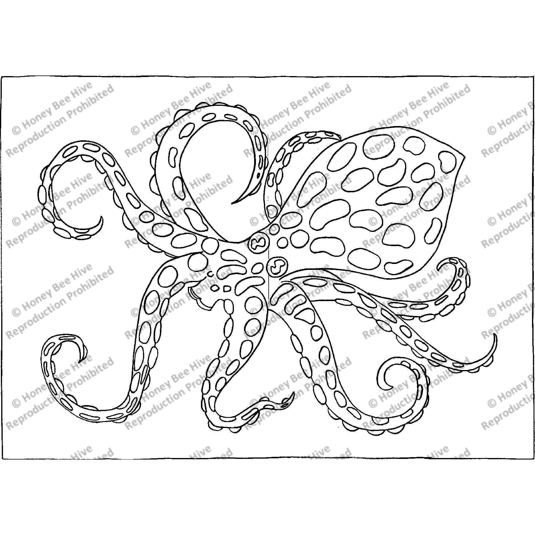 Octavius, rug hooking pattern