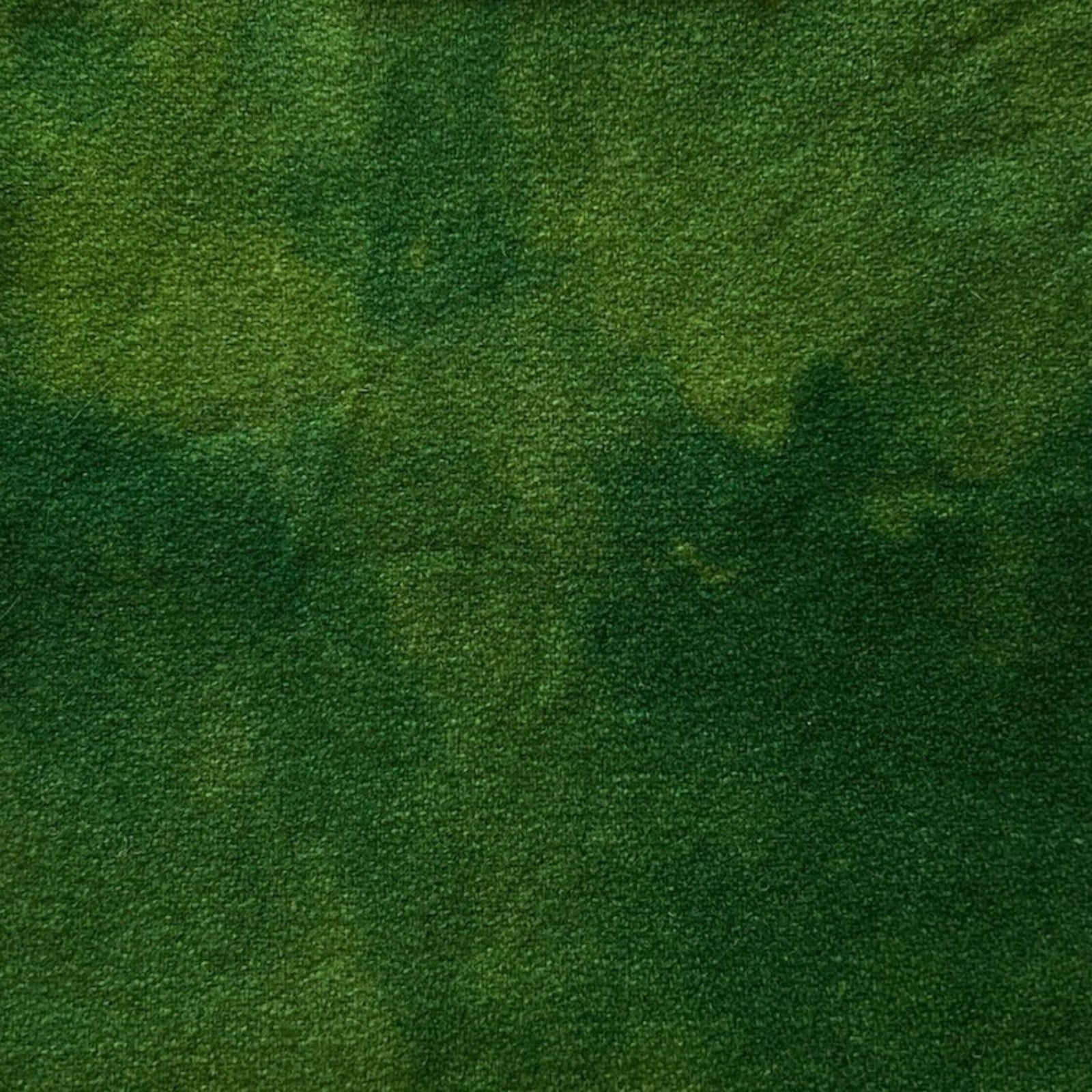 Green with Envy - Colorama Hand Dyed Wool - Offered by HoneyBee Hive Rug Hooking
