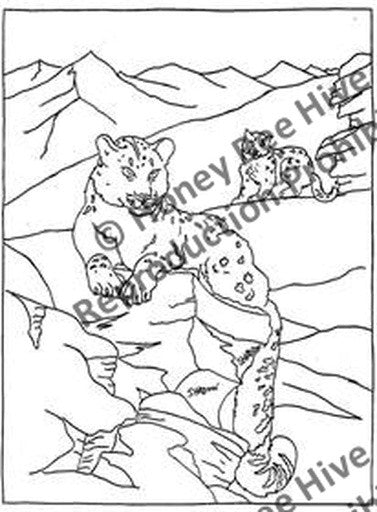 P698: Snow Leopard, Offered by Honey Bee Hive