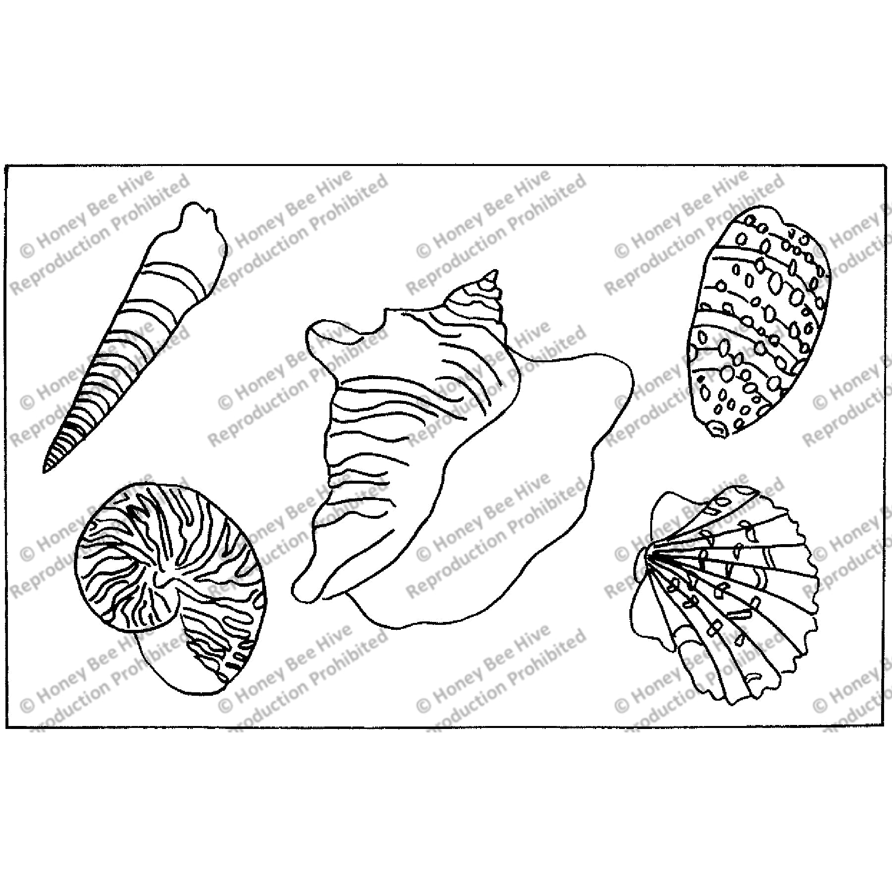 Seashells, rug hooking pattern