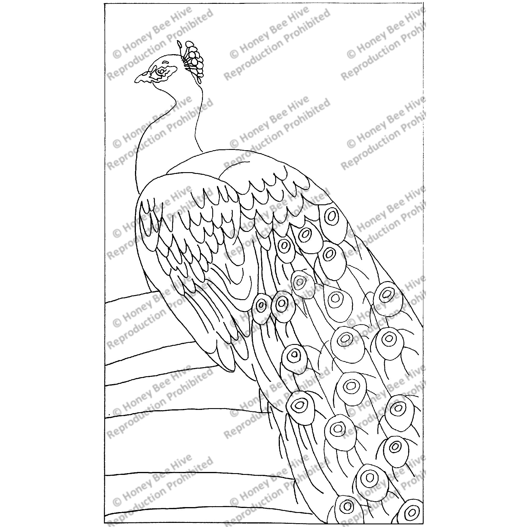 Proud Peacock, rug hooking pattern