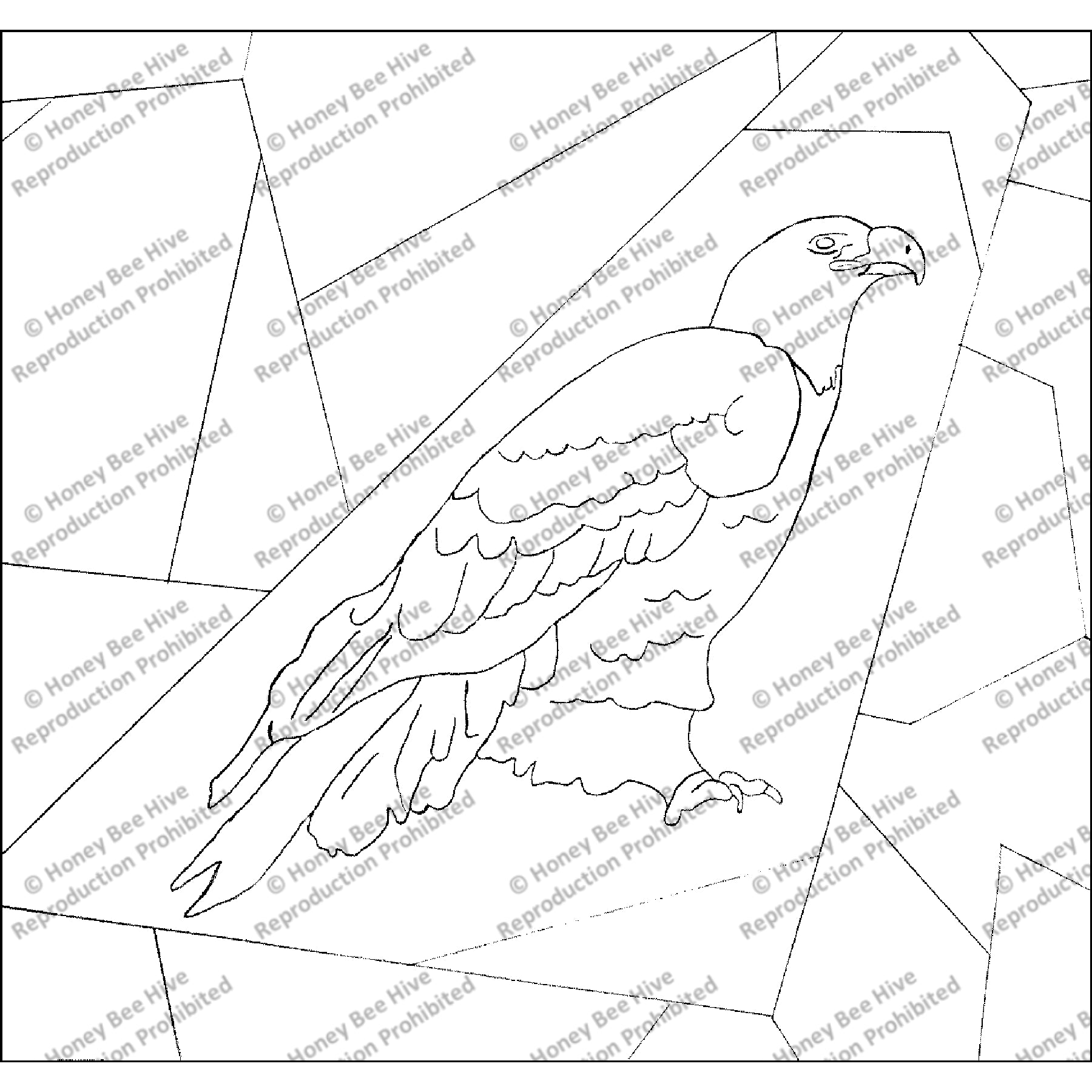 Crazy Quilt - Bald Eagle, rug hooking pattern