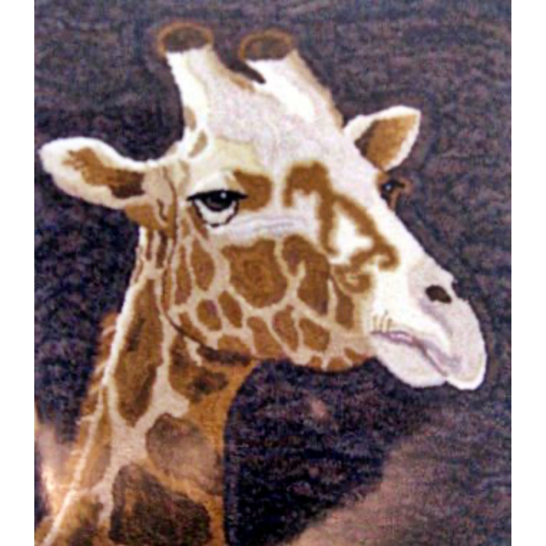 Giraffe, rug hooked by Karen Maddox