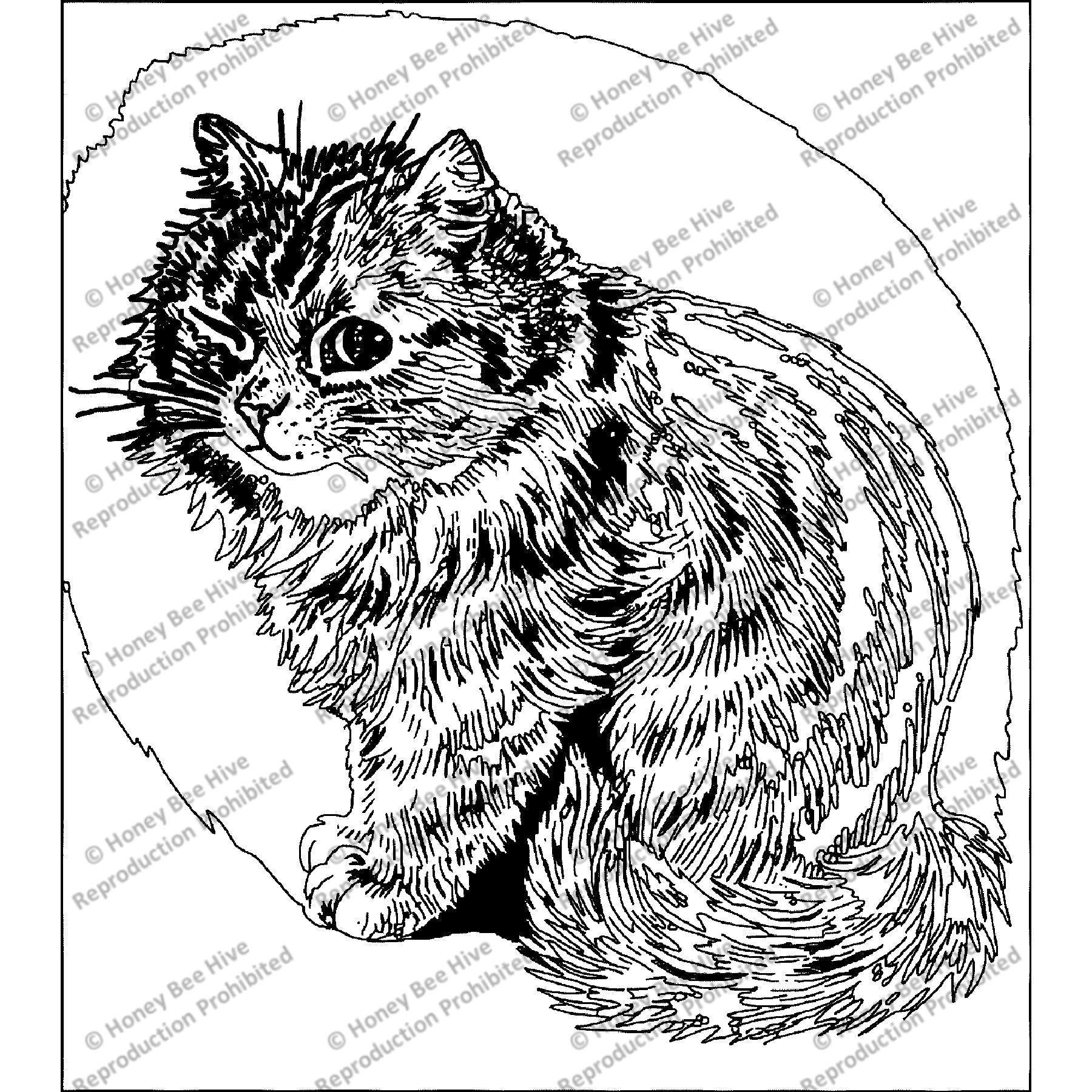 Kitten Stare by Louis Wain, rug hooking pattern