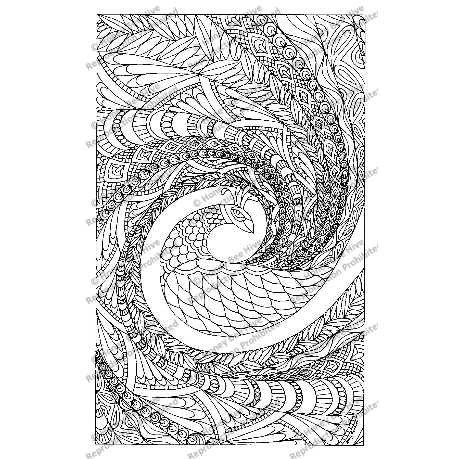 Peacock, rug hooking pattern